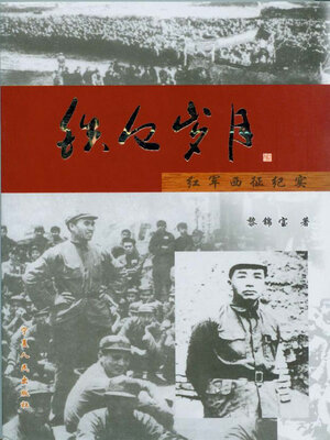 cover image of 铁血岁月
